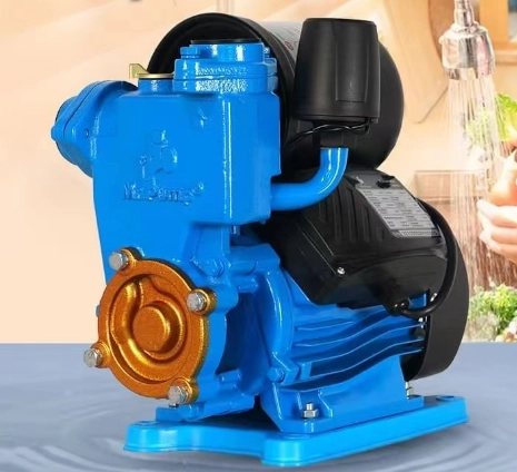 PS126 Automatische pomp